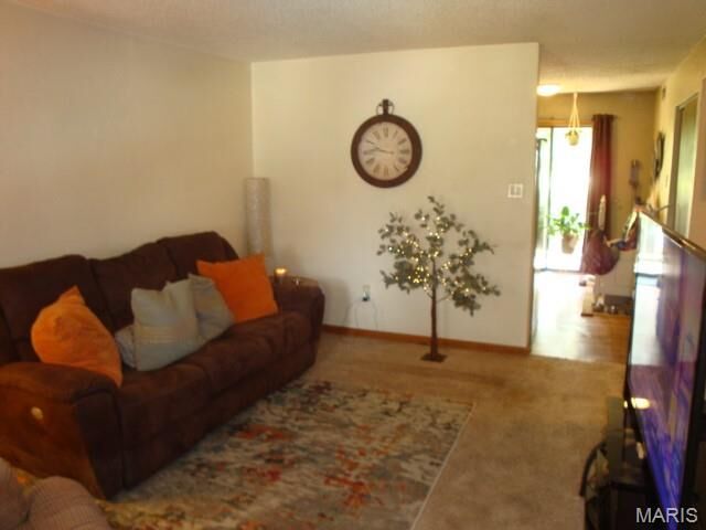 Property Photo:  220 Suppiger Lane 213  IL 62249 