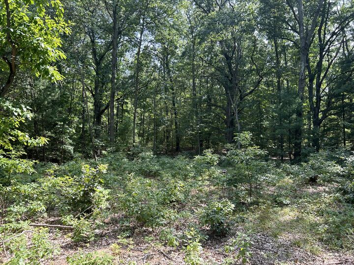 Property Photo: 6440 Gaslight Lane MI 49453