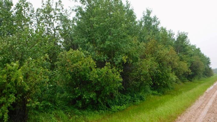 Property Photo:  21369 Township Road 720  AB T0H 3N0 