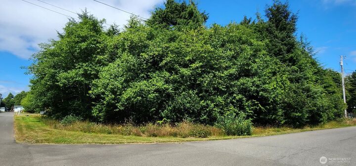 Property Photo: 31 & 33 Paradise Lane WA 98571