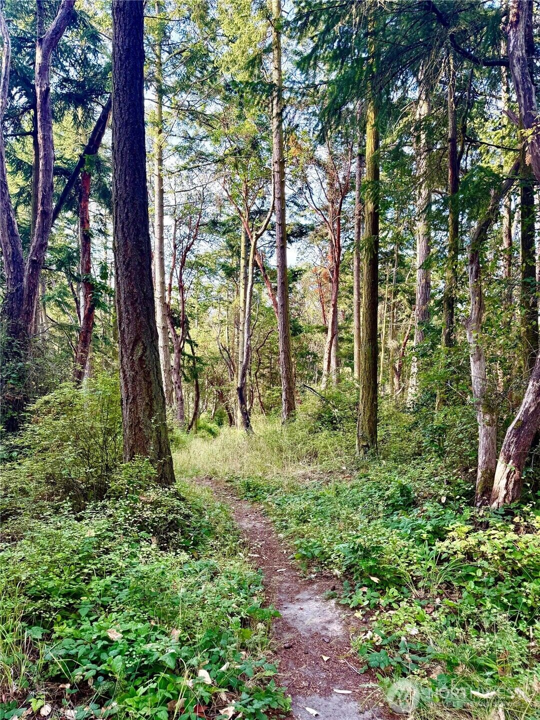 Property Photo: 999 Hancock Street WA 98368