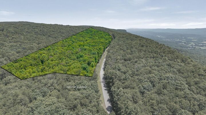 Property Photo: 41.04 Ac Windridge Drive TN 37327