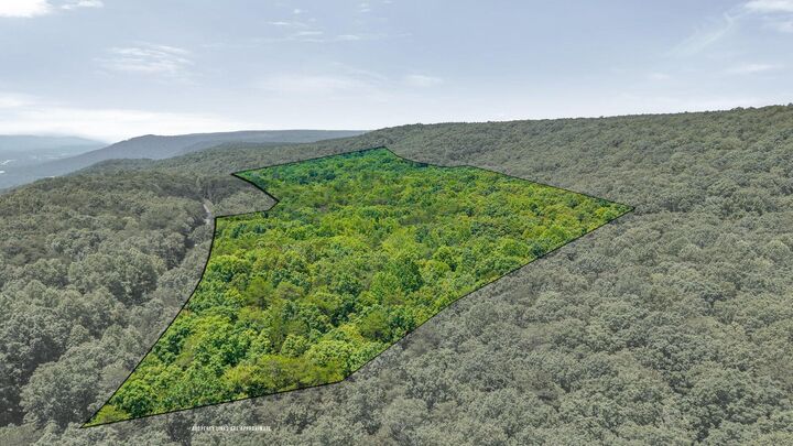 Property Photo:  41.04 Ac Windridge Drive  TN 37327 