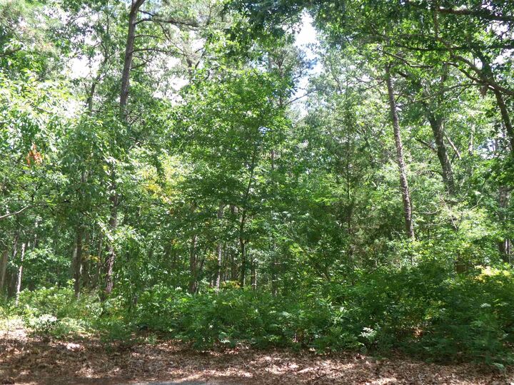 Property Photo:  0 Columbus Ave  NJ 08205 