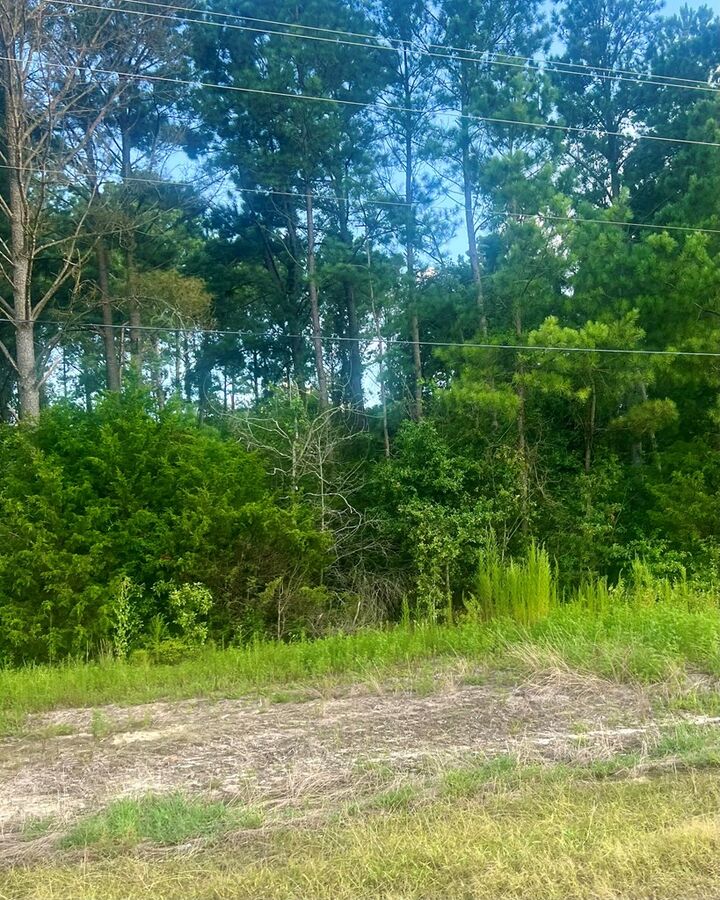 Property Photo:  Tbd Willie Varnum Rd Lot 17 Greenbrier Farms S/D  AL 36320 