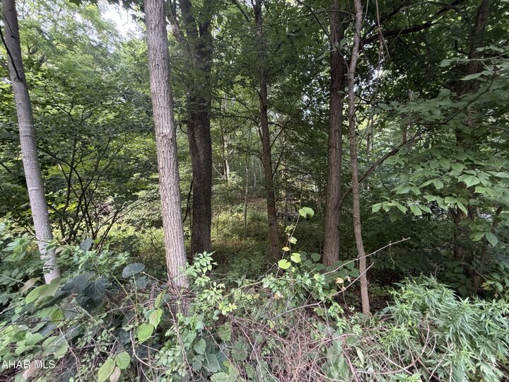 Property Photo: 00 Winterberry Lane Lot 14 PA 16657