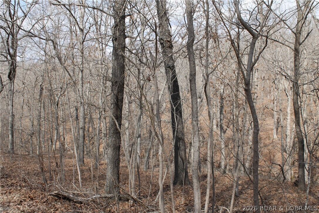 Property Photo: Tim Road 1903 MO 65326