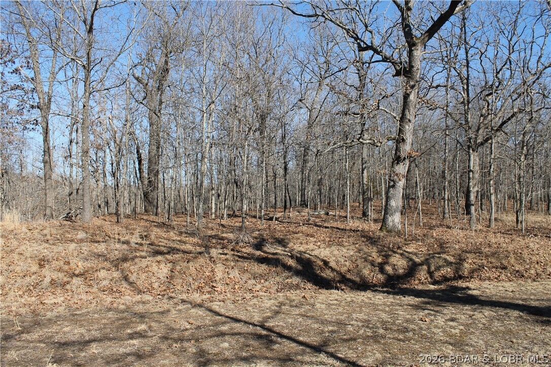 Property Photo:  Dunn Drive 1342  MO 65326 