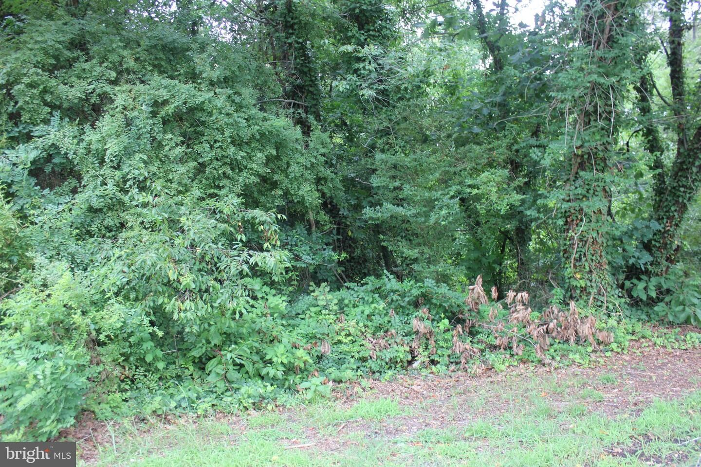 Property Photo:  26457 Peninsular Drive  MD 20636 