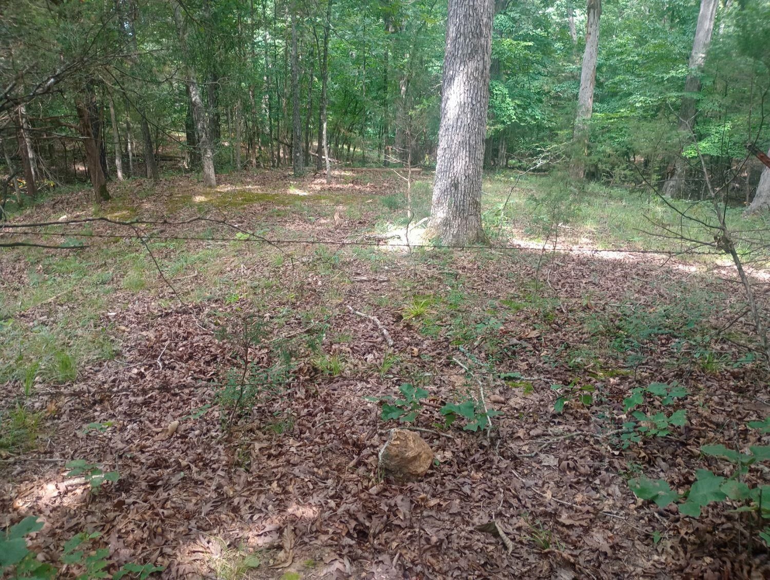 Property Photo:  Off Of Lawrence 106  AR 72459 