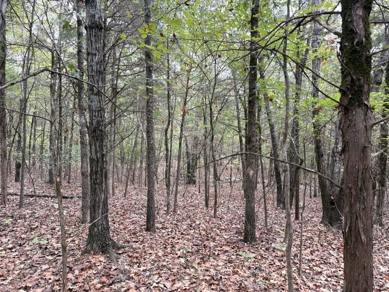Property Photo:  Off Of Lawrence 106  AR 72459 