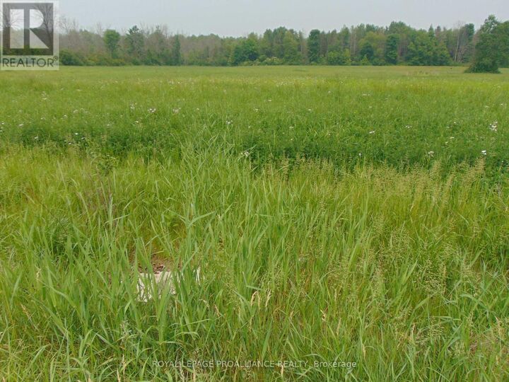 00 Charleville Road North — photo 1