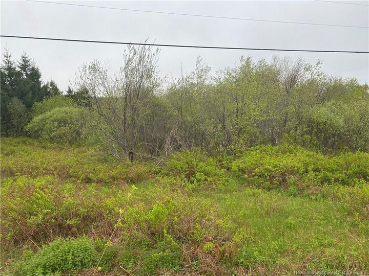 Lot Will Rogers Road — photo 1