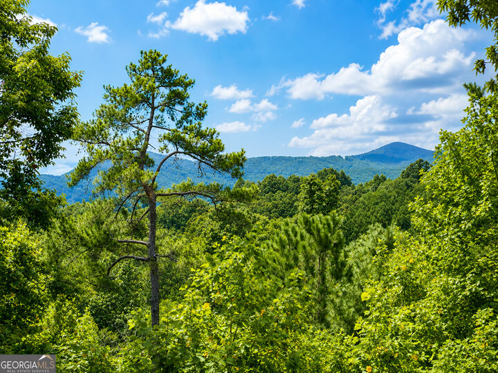 Property Photo:  1046 Crossroads Church Road  GA 30540 
