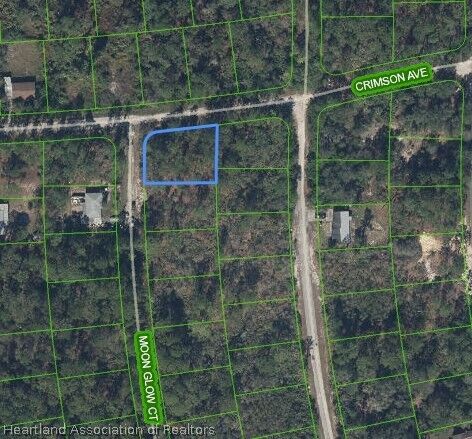 Property Photo:  233 Moon Glow Court  FL 33852 
