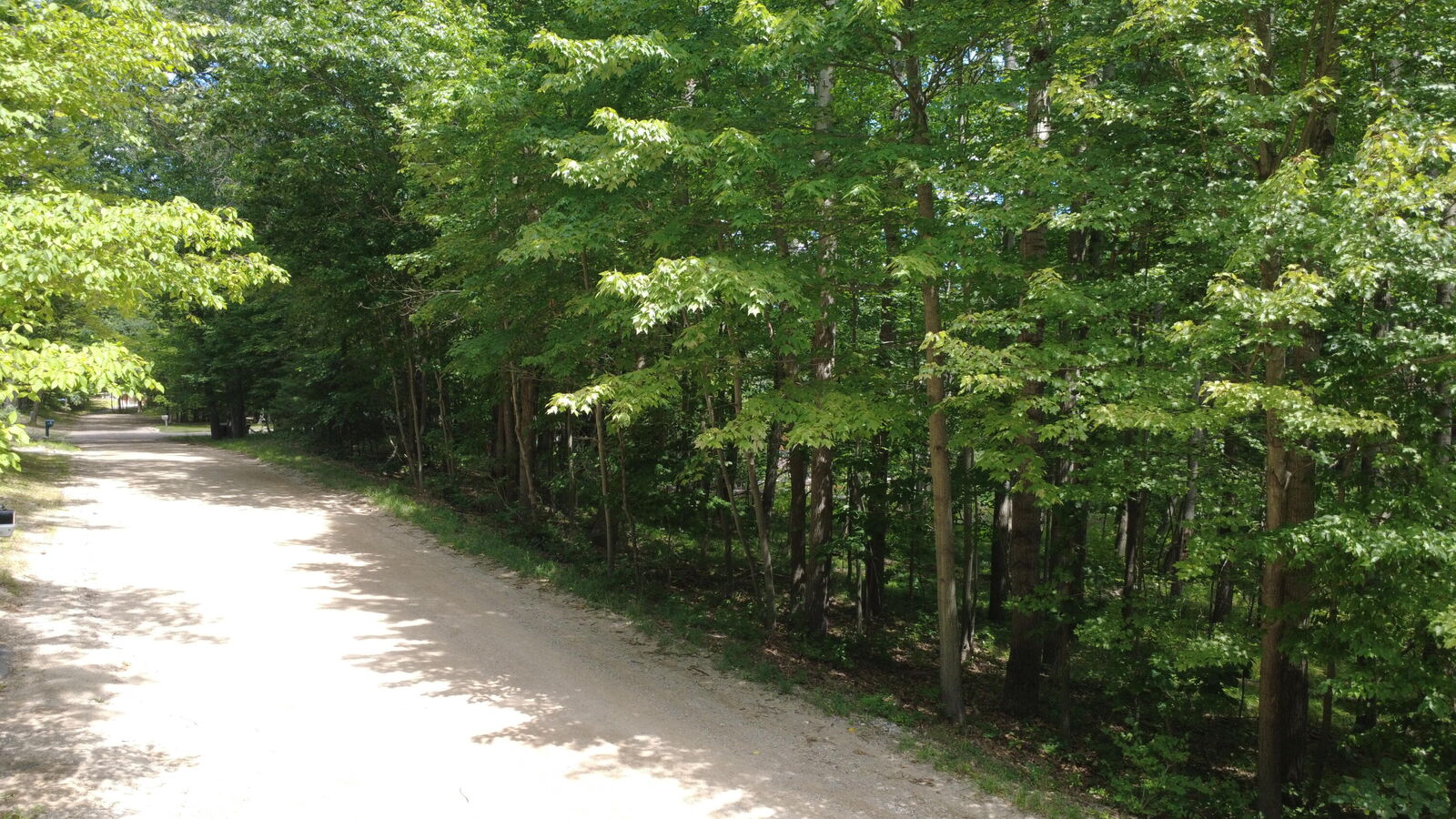 Property Photo:  11113 Rambling Way  MI 49346 