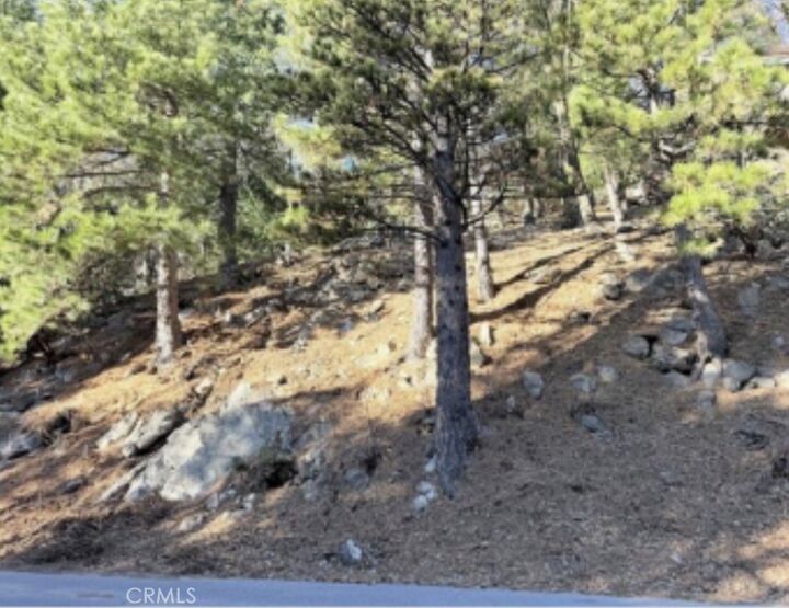 Property Photo: 0 Thunderbird CA 92352