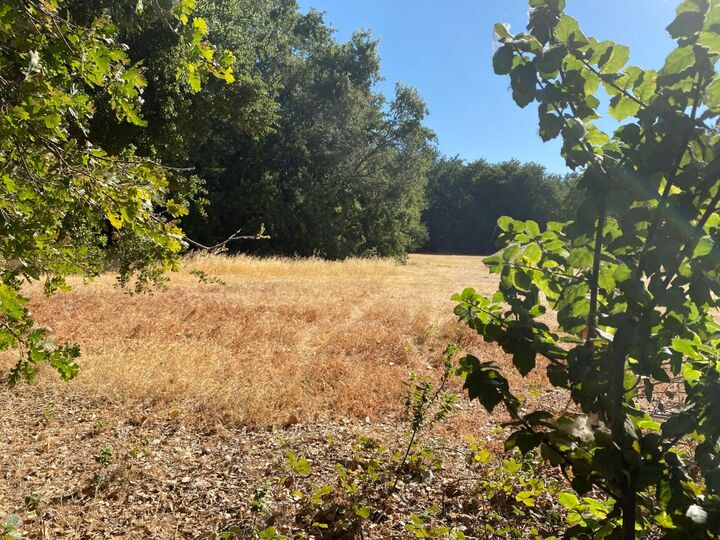 Property Photo: 26519 Thornton Road CA 95632