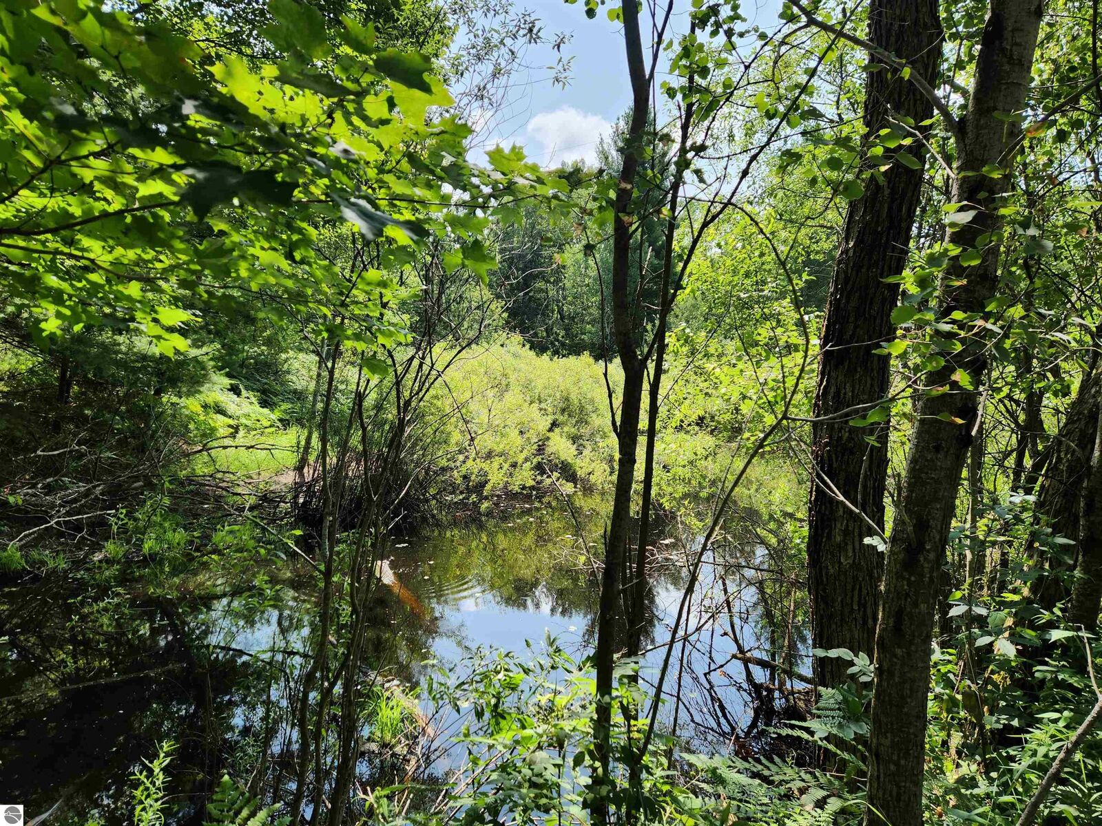 Property Photo: 500 East Trail MI 49646
