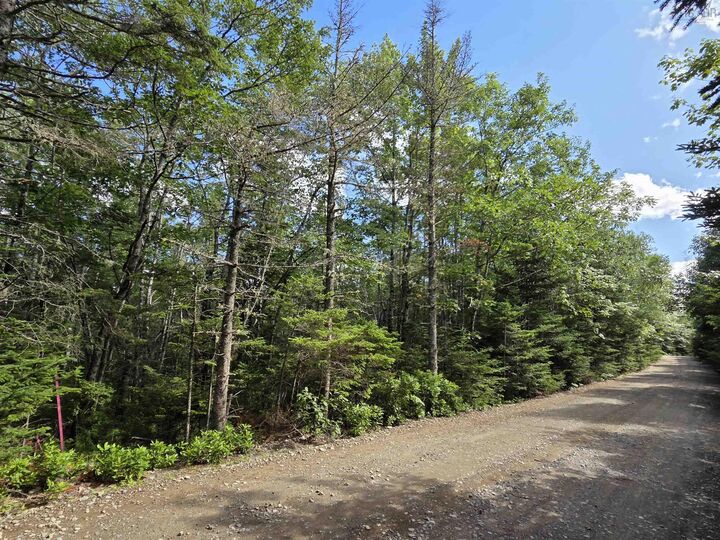 Property Photo: Lot 15 Lake Drive NS B0T 1T0