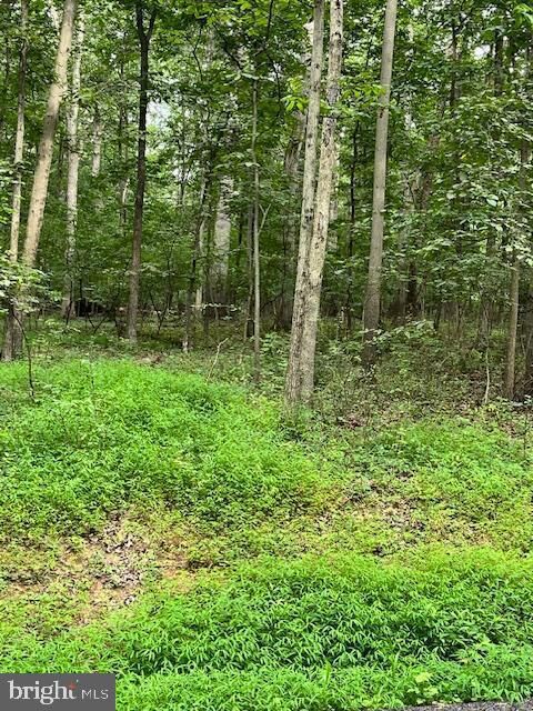 Property Photo:  Baumgardner Rd S  MD 21757 