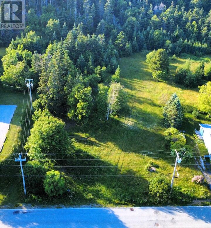 Property Photo:  59 Hillview Avenue  NL A2N 1S3 