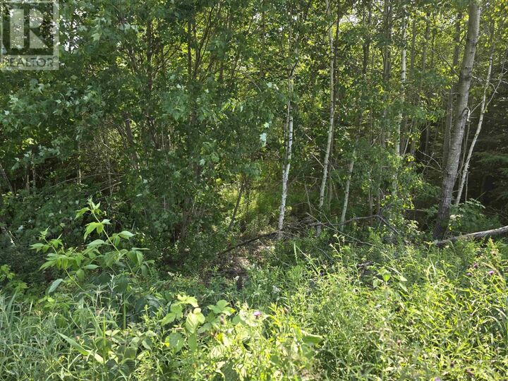 Lot 2 Highway 101 — photo 1