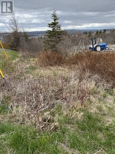 Property Photo:  129A English Hill Road  NL A1Y 1A8 