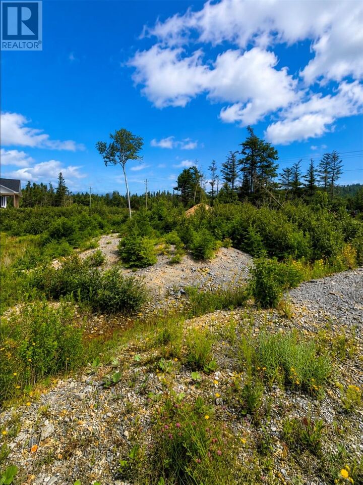 Property Photo: 168 Hodgewater Line NL A0A 3W0