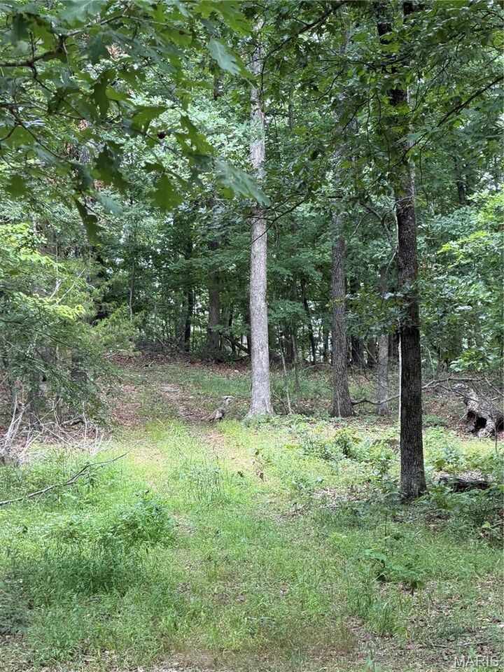 Property Photo:  #306 Madison 410  MO 63645 