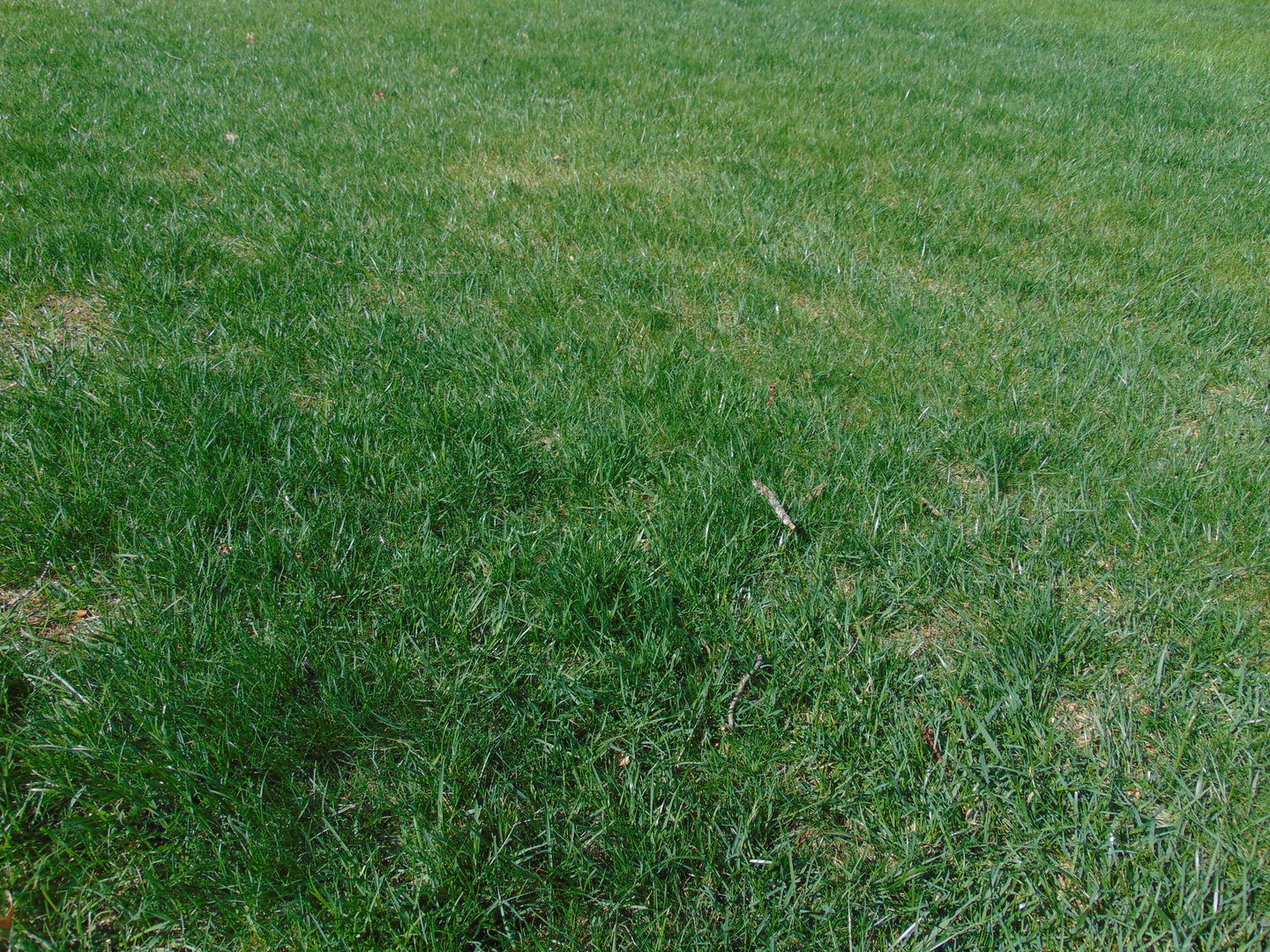 Property Photo:  7150 Bannockburn Circle  IL 60014 
