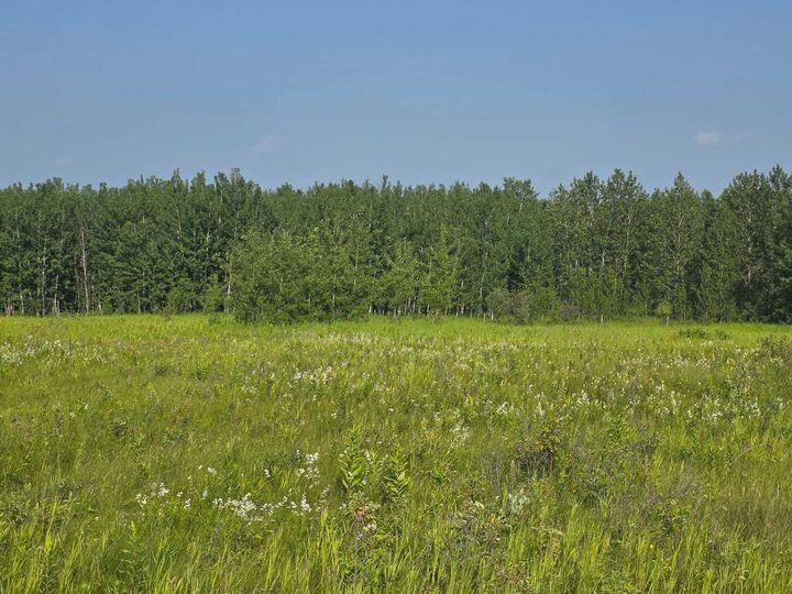 Property Photo: Lot 17 Wood Heights Road AB T9S 0A8