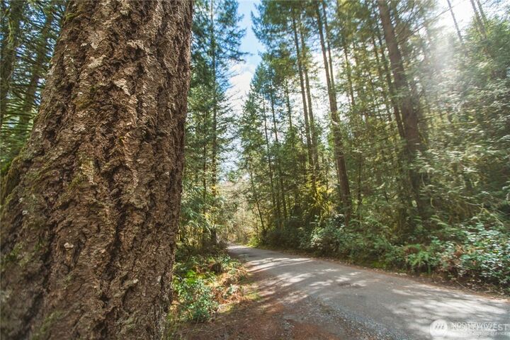 Property Photo:  0 SW County Line Road  WA 98367 