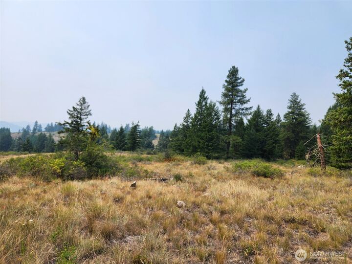 Property Photo:  250  Union Ridge Road  WA 99166 