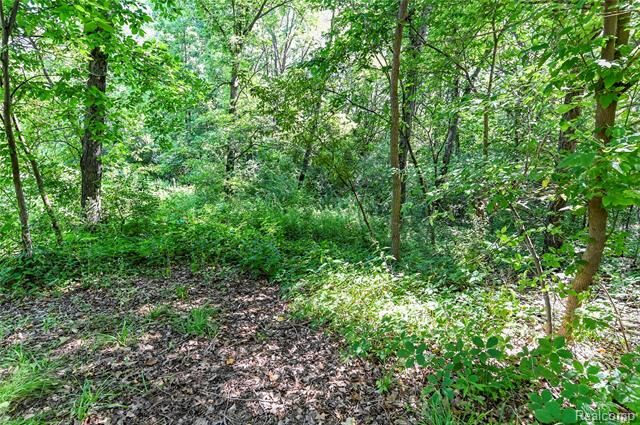 Property Photo:  000 Holdridge Rd  MI 48462 
