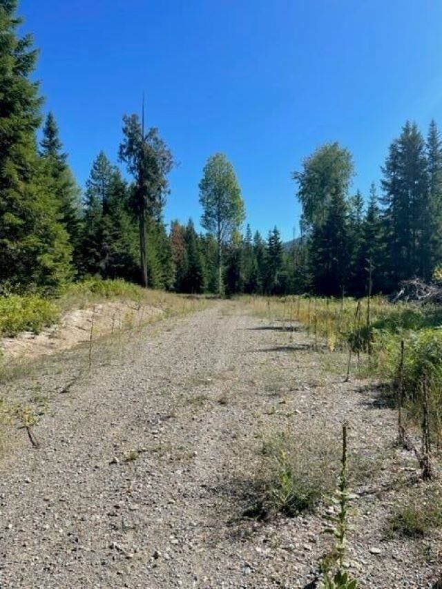 Property Photo: 3xx Lot 13 N Leclerc Rd WA 99139