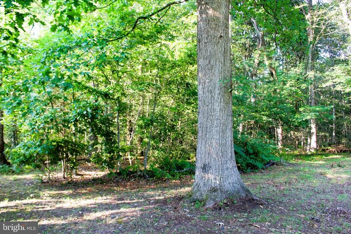 Property Photo:  Mandeville Road  MD 21085 