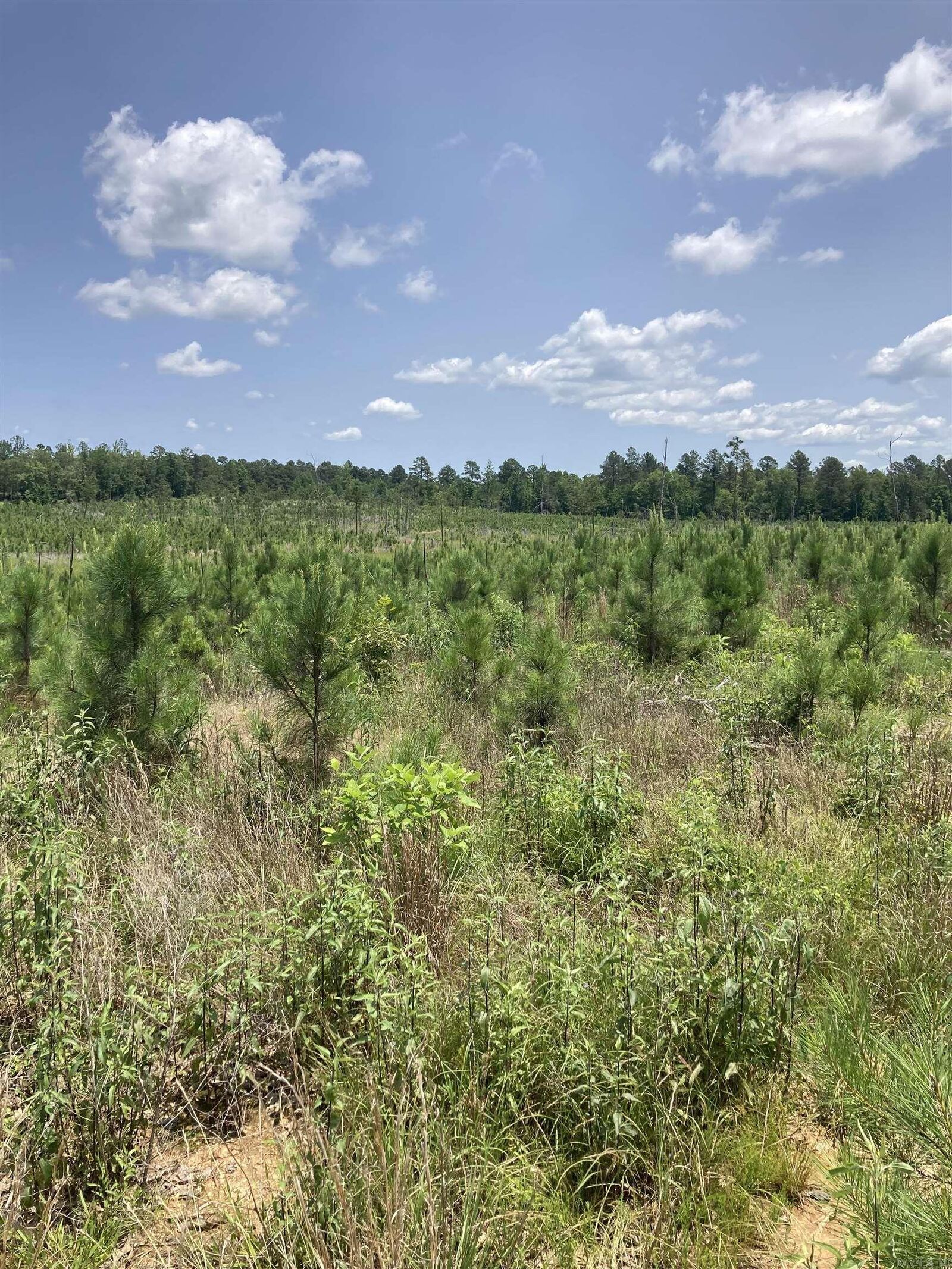 Property Photo:  1414 Block Of Newkirk Circle  AR 71949 