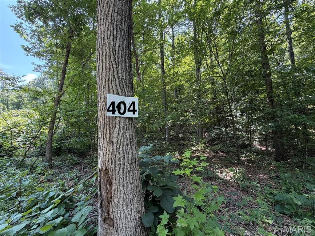 Property Photo:  #404 Madison 410  MO 63645 