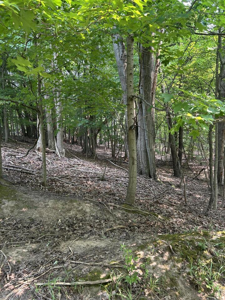 Property Photo:  V/L Longbridge East Parcel 11  MI 49449 