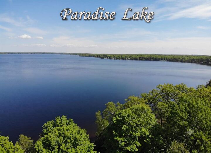 Property Photo:  15785 &Amp 15787 Paradise Lake  MI 49718 