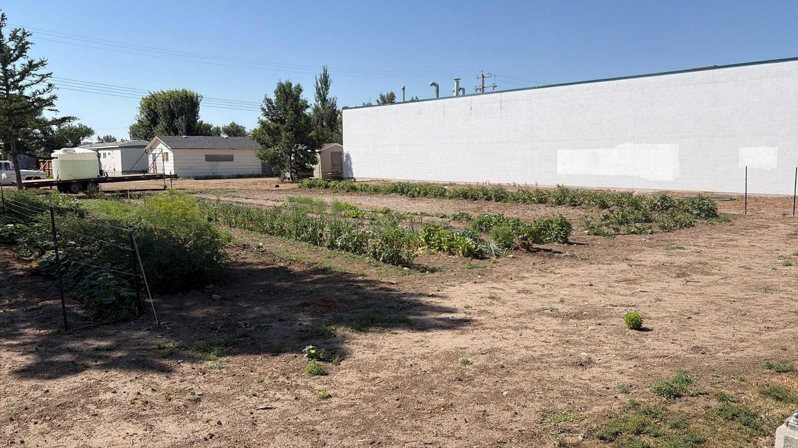 Property Photo:  319 2 Avenue N  AB T0K 2K0 
