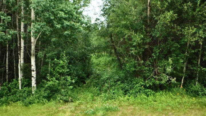Property Photo:  Range Road 231  AB T0H 3N0 