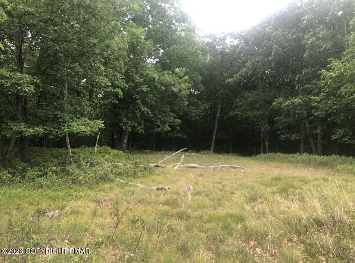 Property Photo:  69 & 70 Panda Lane  PA 18302 