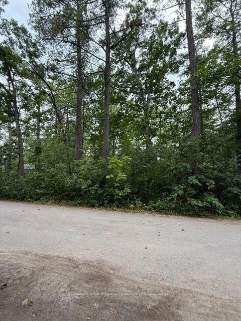 Property Photo:  79 Irene Avenue  ON K0M 1N0 