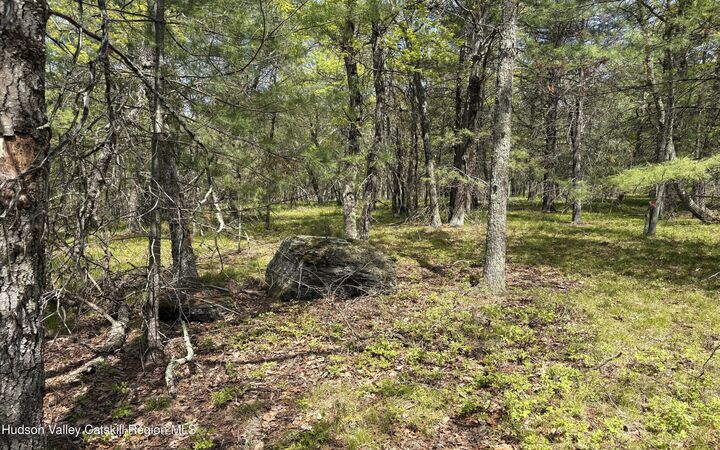 Property Photo:  Tbd Route 28A  NY 12491 