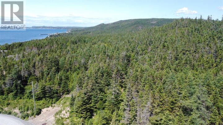 Property Photo:  43 Lakeside Drive  NL A0B 1R0 