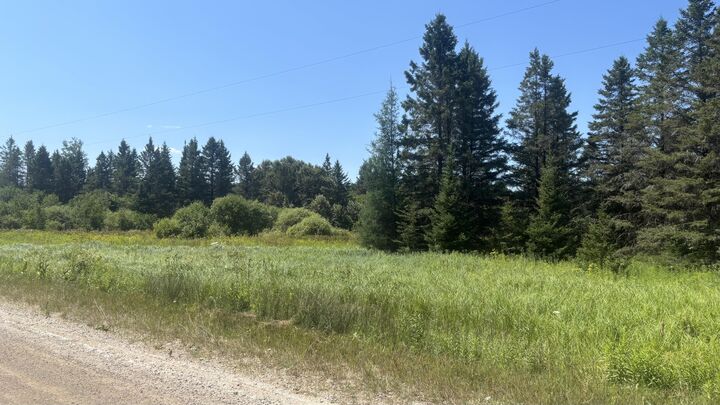 Property Photo: Tbd Simmons Rd MI 49745