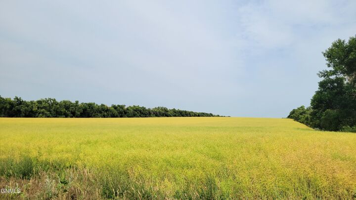 Property Photo:  Tract 5 On 66th Street SE  ND 58504 