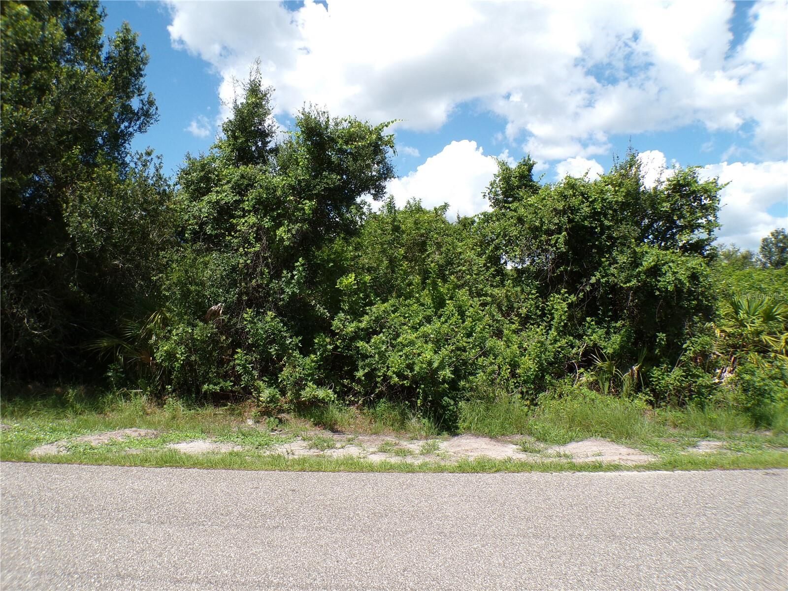 Property Photo:  Embassy Road  FL 34291 